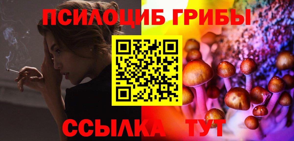 Рассказово  Псилоцибиновые грибы GOLDEN TEACHER  Псилоцибиновые грибы прущие грибы  Вход с VPN 